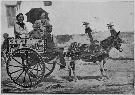 Image not available for display: Peasant Cart, Palermo.