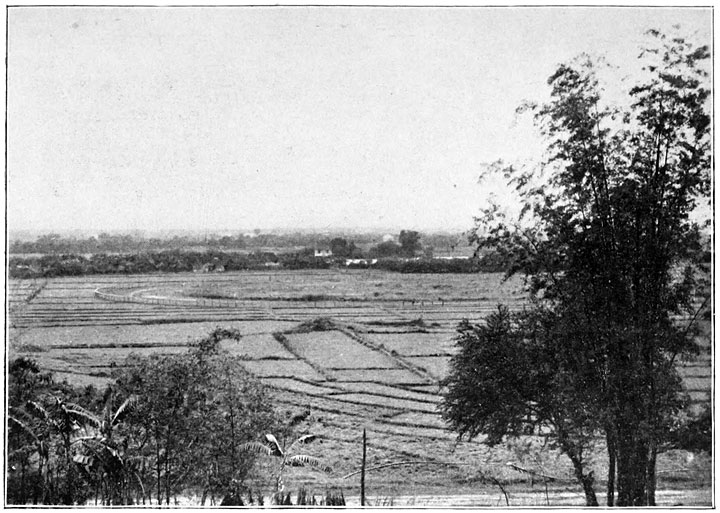 Suburb of Santa Mesa. From the Veranda of our Bungalow We Looked down on the Rice-fields and Race-Course.