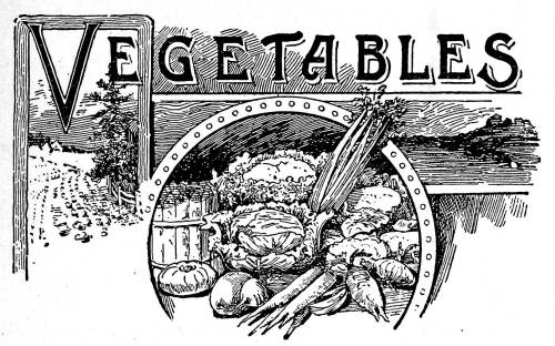 Vegetables