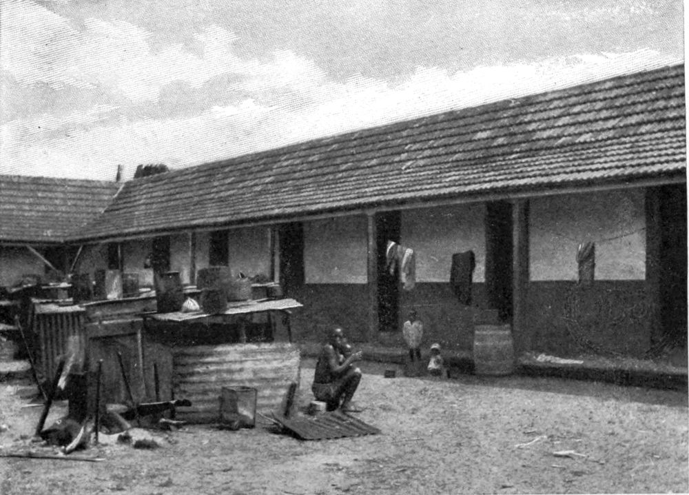 SLAVE QUARTERS ON A PLANTATION