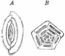 Fig. 25.