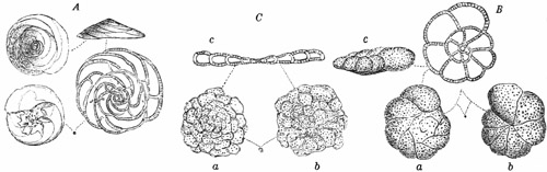 Fig. 33.