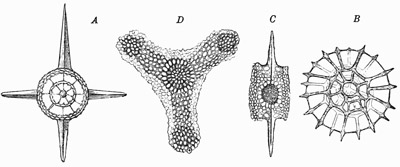 Fig. 47.