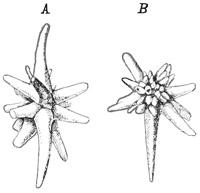 Fig. 71.