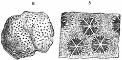 Fig. 178.