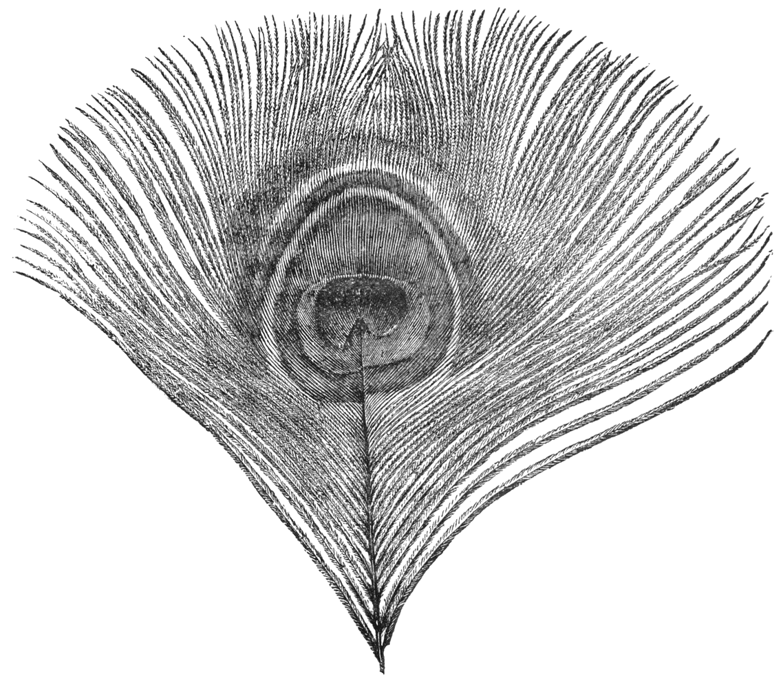 Fig. 50.