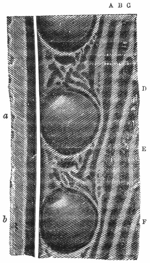 Fig. 54.