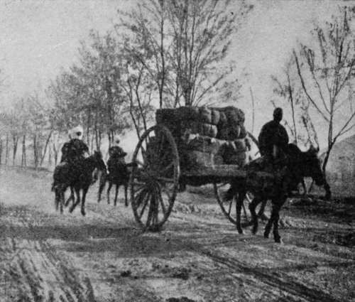 TCARRYING COTTON TO MARKET.