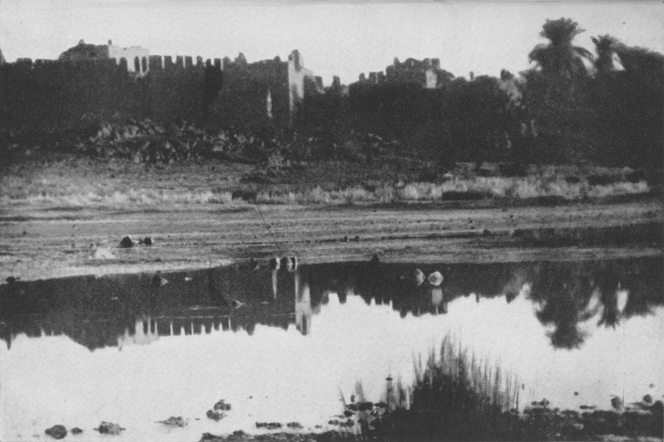 Photo wide shot of a marsh