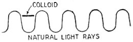 sine wave 2